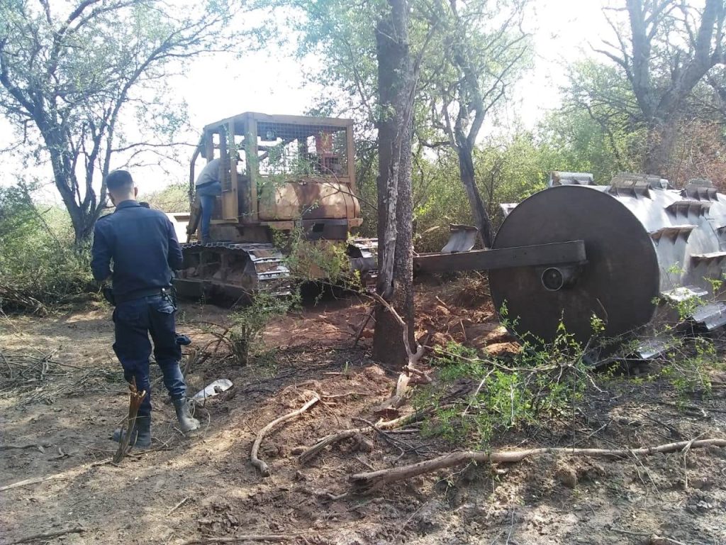 Personal de la Dirección de Bosques detuvo desmontes ilegales en el departamento Alberdi