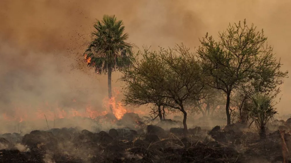 Gustavo Valdés declaró la zona de catástrofe en el Iberá: “Solo la naturaleza podrá apagar el fuego”