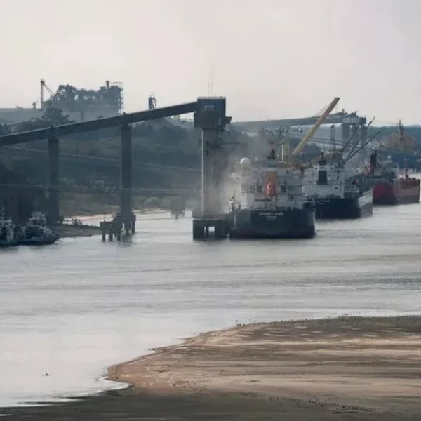 Tras la suba de retenciones, el Gobierno reabrió las exportaciones de aceite y harina de soja