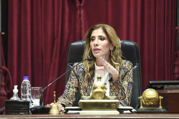 La senadora Zamora presidió parte de la sesión en la que el Senado aprobó la modificación de la composición del Consejo de la Magistratura