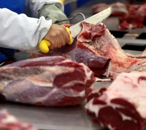 Plazos para conseguir los cortes de carne con descuento