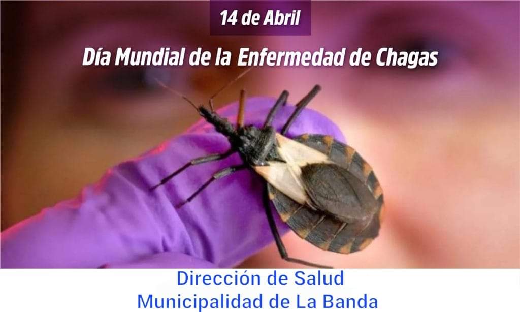 El municipio brinda información sobre el desarrollo de la enfermedad de chagas 