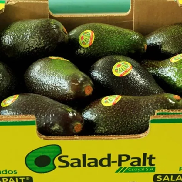 Hace una semana, la palta se vendía hasta $ 700; hoy se ofrece a $ 300
