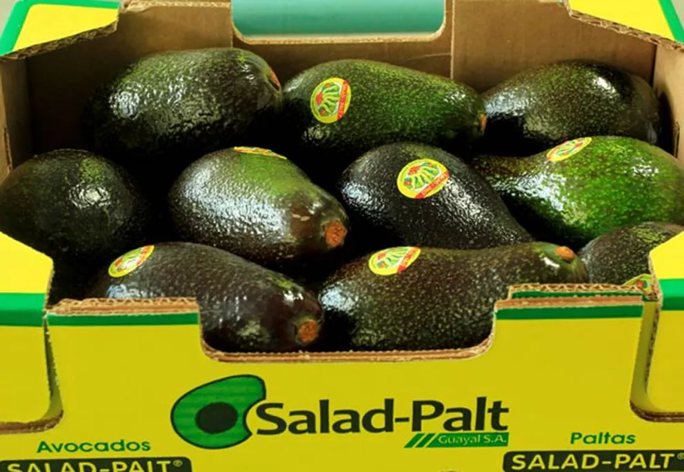 Hace una semana, la palta se vendía hasta $ 700; hoy se ofrece a $ 300