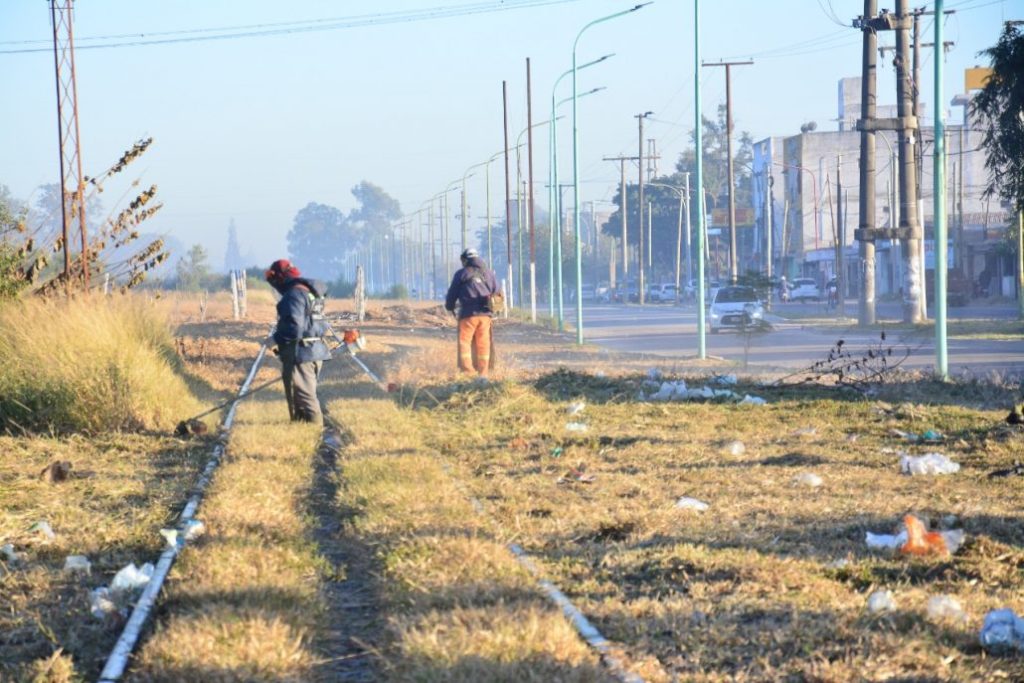 El municipio brindó recomendaciones para la poda de árboles y el manejo responsable de residuos 