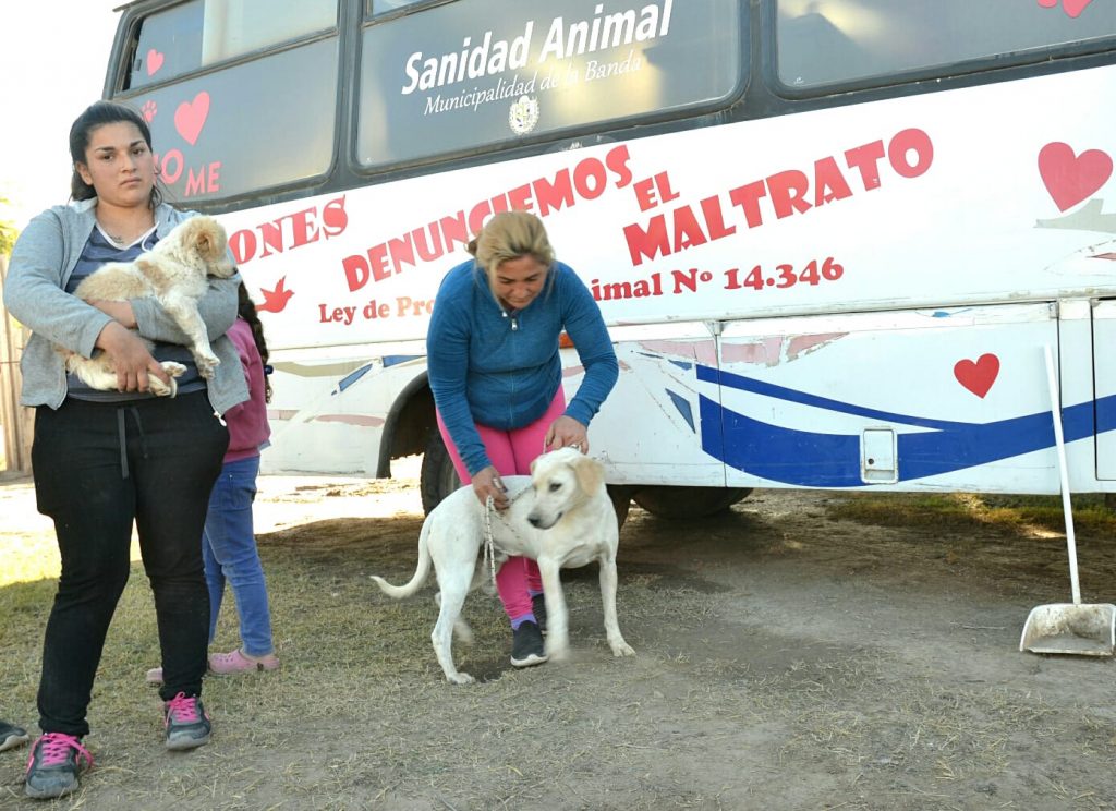 El municipio realizó con éxito un operativo de castraciones de mascotas en el barrio Villa Jardín  