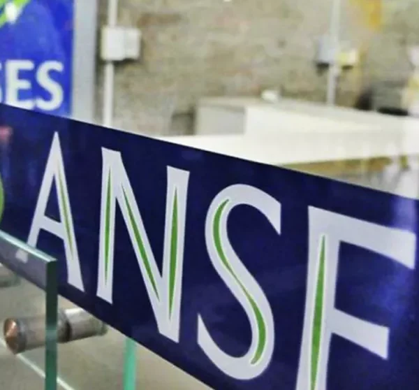 Por el feriado, cambiaron las fechas de cobro de agosto de Anses