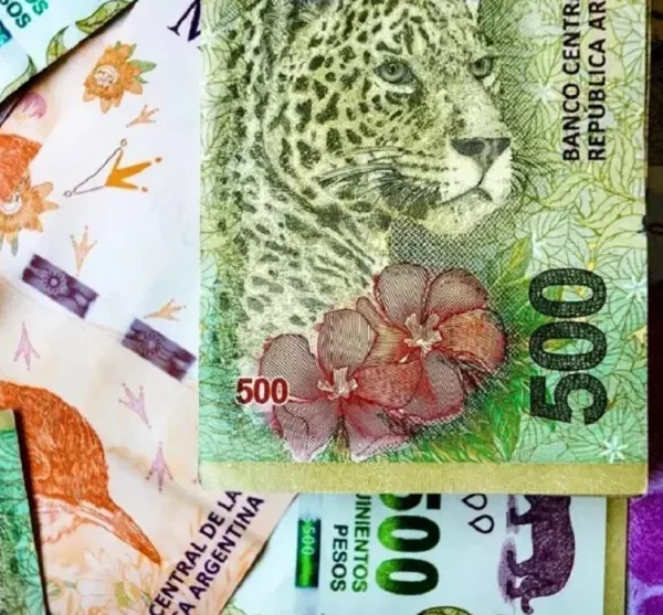 Desempleados cobran hasta $22.000 este viernes