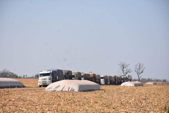 Fiscalía de Estado puso en marcha un importante operativo de secuestro de granos en tierras que fueron usurpadas en el departamento copo