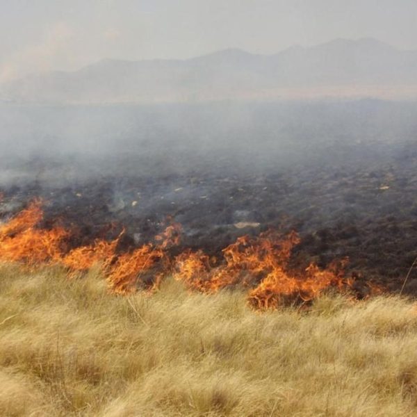 Incendio forestal generó alarma en los pobladores del paraje Taco Pujio