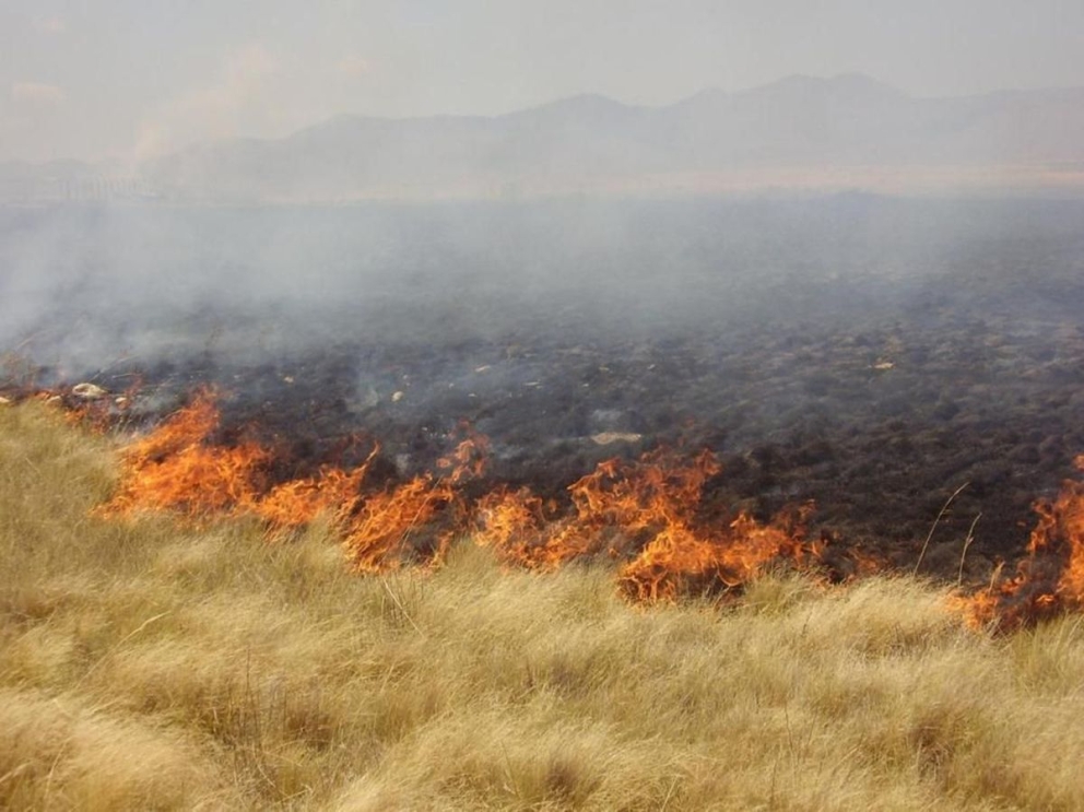Incendio forestal generó alarma en los pobladores del paraje Taco Pujio