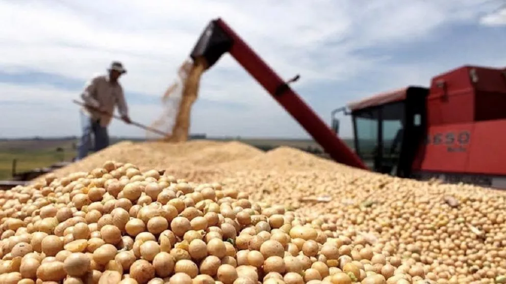 Massa y las cerealeras negocian un nuevo dólar «agro»: piden que cotice a $200