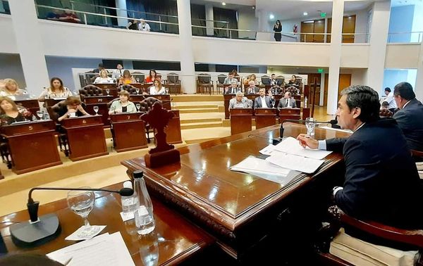 Legislatura: el próximo martes asumirán los nuevos diputados