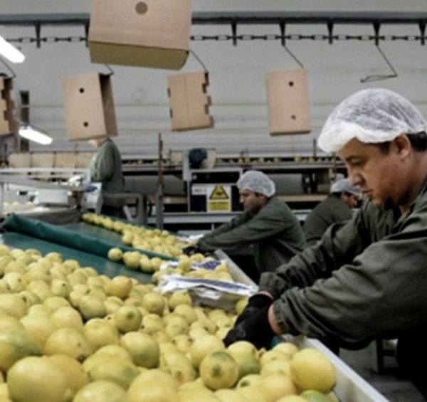Los consumidores pagan cuatro veces más de que lo que cobran los productores agropecuarios