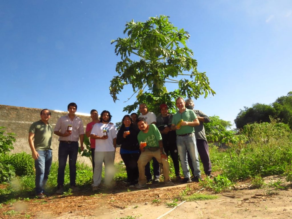 El municipio promueve la producción sustentable de plantas frutales a través de su huerta agroecológica