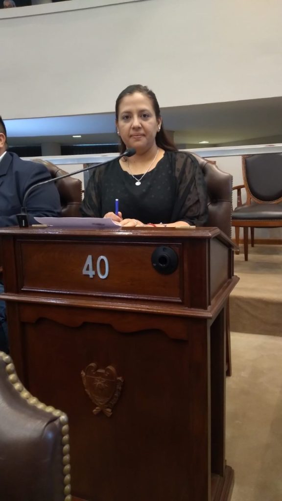 <strong>Proyecto de ley para la creación de un Programa provincial de apoyo y estímulo para los trabajadores canillitas fue presentado por la diputada Morales</strong>