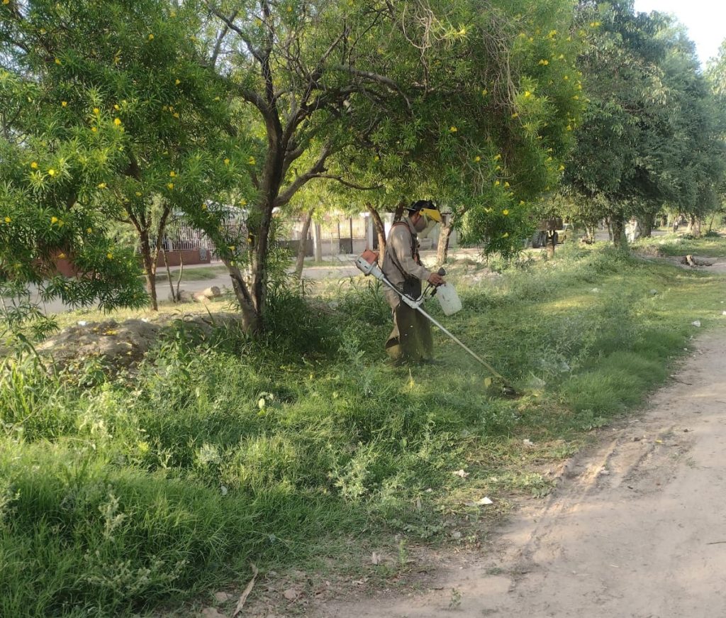 Parques y paseos intensifica los trabajos de desmalezamiento y limpieza en la ciudad 