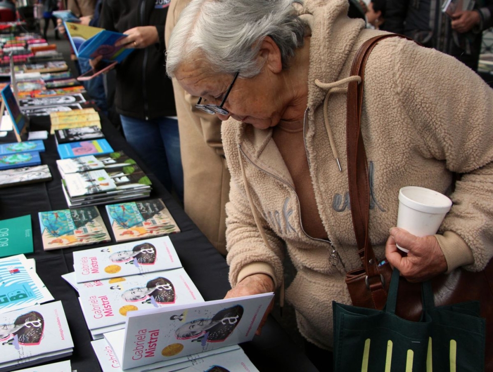 Comienza en Frías la V Feria del Libro Explorando las letras del Norte
