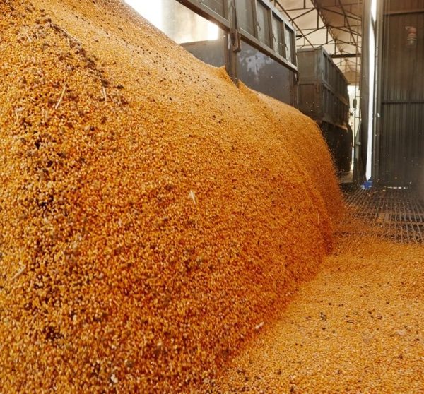 Agroexportadores liquidaron US$ 1.600 millones en las primeras semanas del nuevo dólar soja