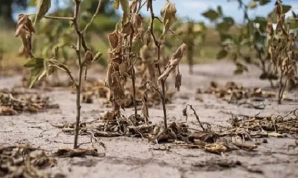 Cambio climático: el fenómeno de La Niña y la sequía en el planeta