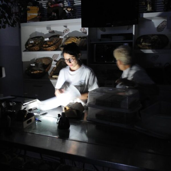 Lo que nos cuestan las privatizadas