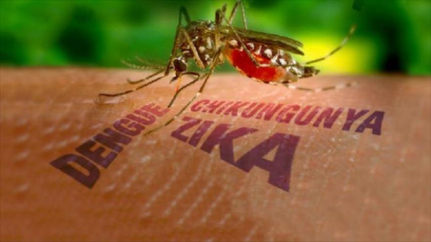 Prevención del Dengue, Zika y Chikungunya luego de las tormentas
