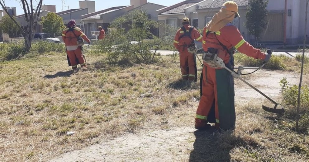 La Capital continúa con las tareas de desmalezamiento y barrido en diferentes barrios