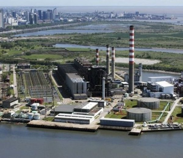 YPF podría evitar el monopolio energético de Nicky Caputo