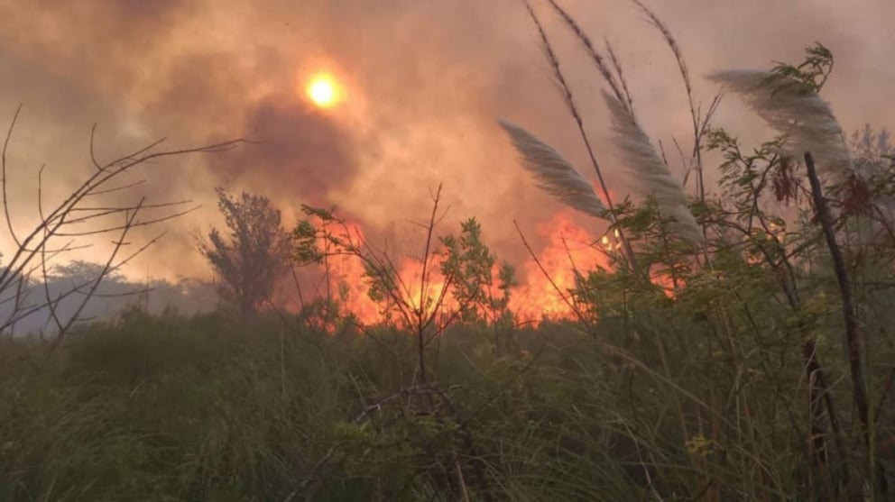 Apagón: el dueño del campo donde se inició es un exfuncionario macrista