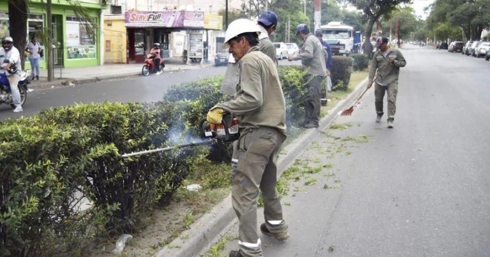 La Municipalidad podó los arbustos de la platabanda de avenida Belgrano