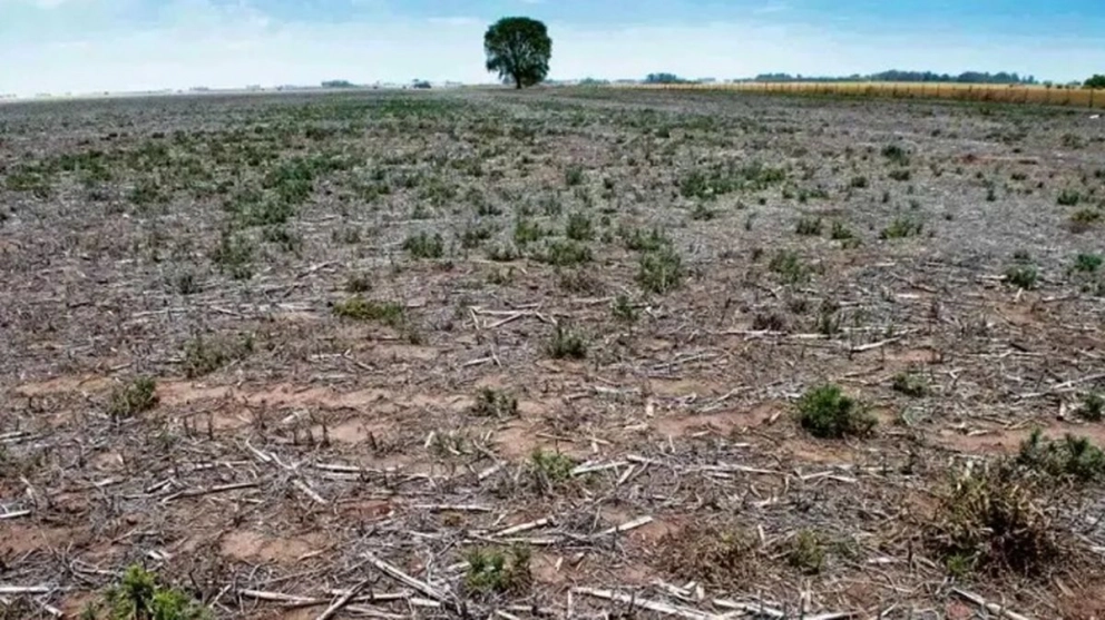 «La Niña»: declaran el fin de la peor sequía en 60 años