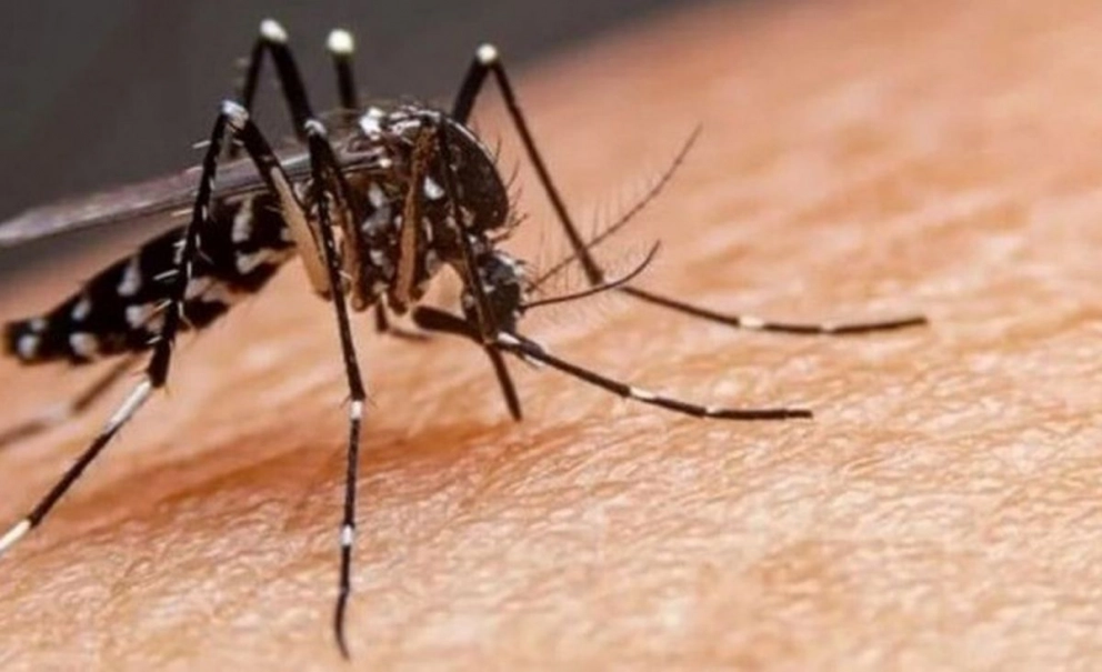 Hasta el momento son 7.765 casos confirmados acumulados de dengue