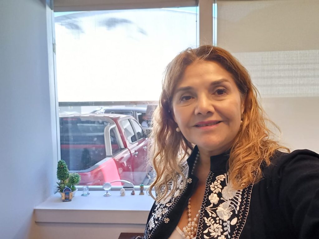 La diputada Larcher presentó un proyecto de ley para la creación del Plan de Lucha contra el Dengue