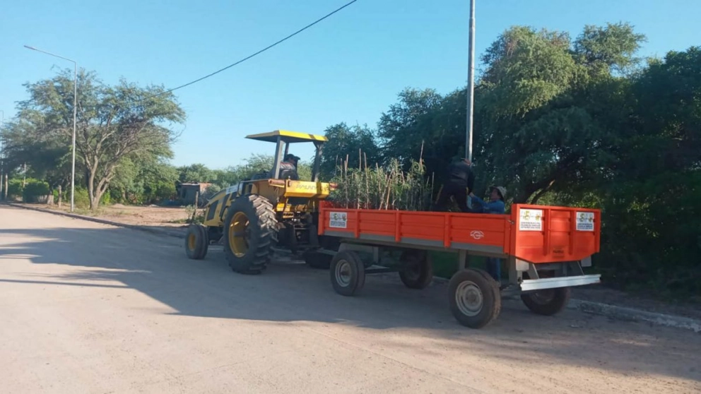 Proyectan plantar 1.200 árboles en Colonia El Simbolar