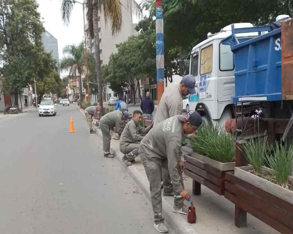 Mantenimiento y reparación de canteros de la avenida Belgrano