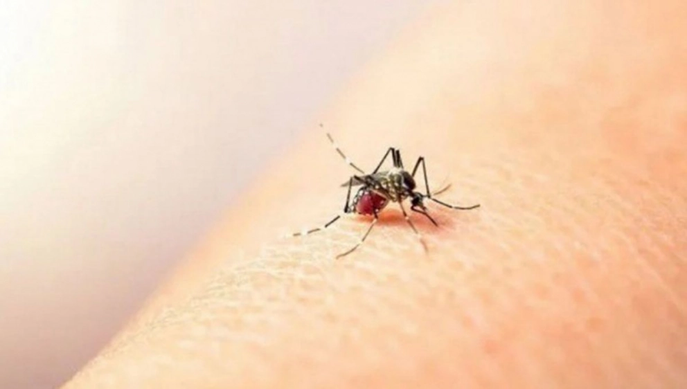 “La vacuna contra el dengue tiene una eficacia de más del 80% en casos graves”