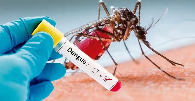 En una semana se reportaron 447 casos de dengue en la provincia