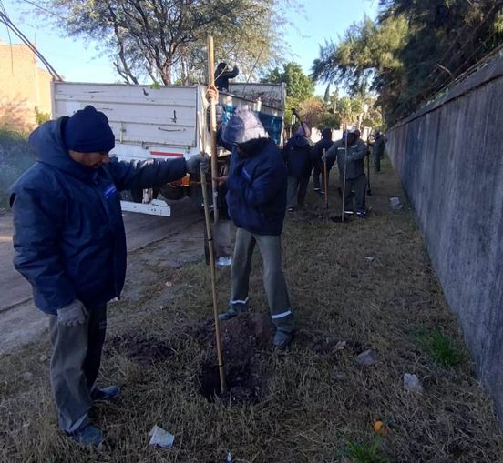 La Municipalidad trabaja en la plantación de más de 1900 árboles en el barrio América del Sur