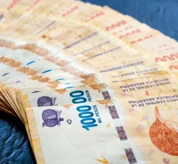 Refuerzo especial de la Anses: uno por uno beneficios que cobrarán con bono