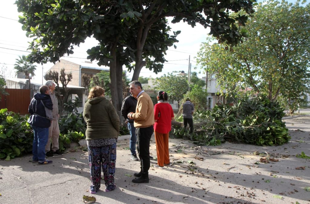 Se realiza poda responsable en la ciudad de La Banda para mejorar la seguridad vial y la iluminación