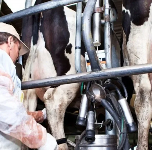 Lanzan Impulso Tambero 2, con una inversión de 7.000 millones de pesos