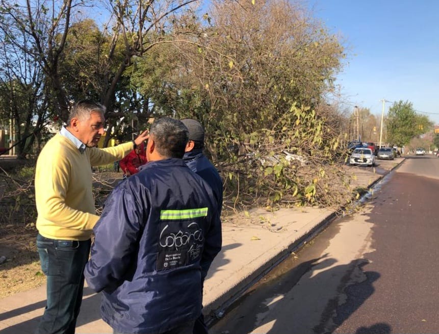 Nediani acompañó los trabajos que se realizan de Arbolado Urbano en la ciudad