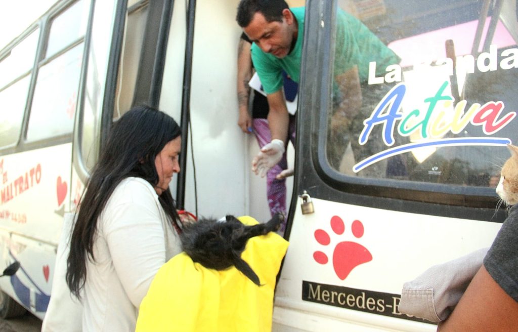 El municipio realizó un Operativo de Castración de Mascotas en el barrio Los Álamos II