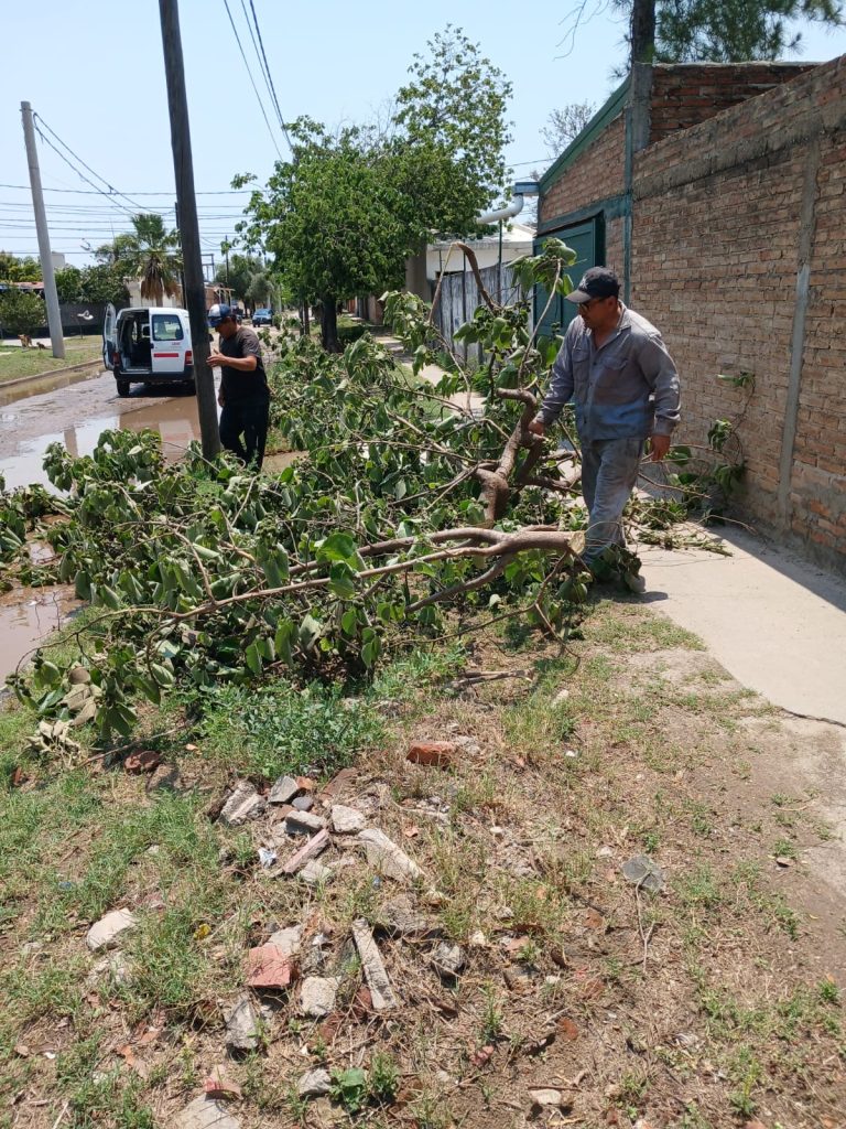 Intenso trabajo del Comité de Emergencia Municipal tras la tormenta de las últimas horas 