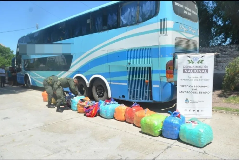 Gendarmes secuestraron más de 230 kilos de hojas de coca