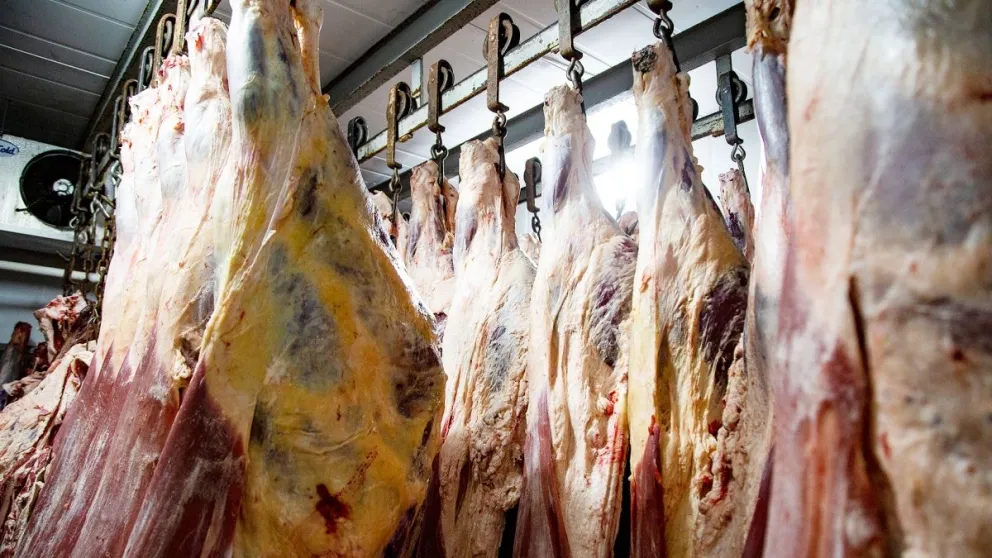 A partir del lunes próximo ya no habrá restricciones para la exportación de cortes bovinos