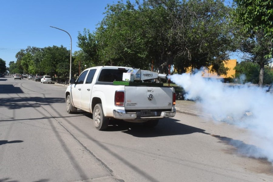 Campaña contra el dengue: Intensifican acciones de erradicación de criaderos