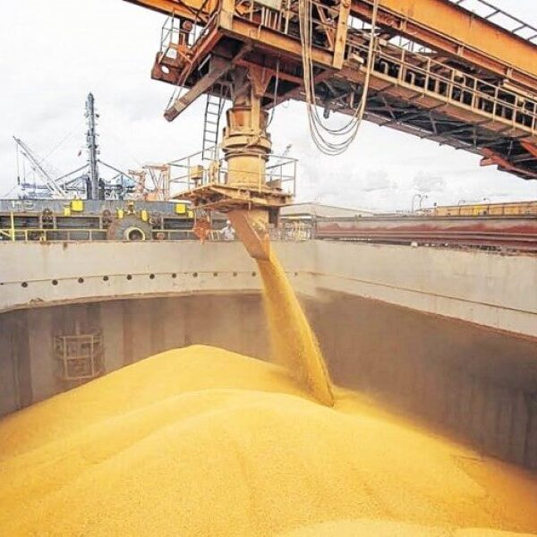 Se exporta por primera vez trigo a China: previsiones de la cosecha