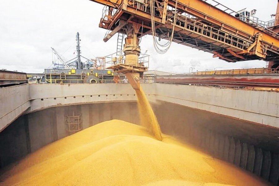Se exporta por primera vez trigo a China: previsiones de la cosecha