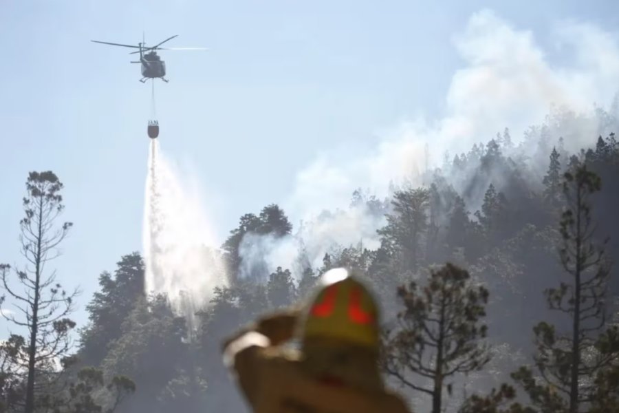 Patagonia: Se incendia el Parque Nacional Los Alerces